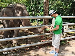 Na Muang waterfall 1