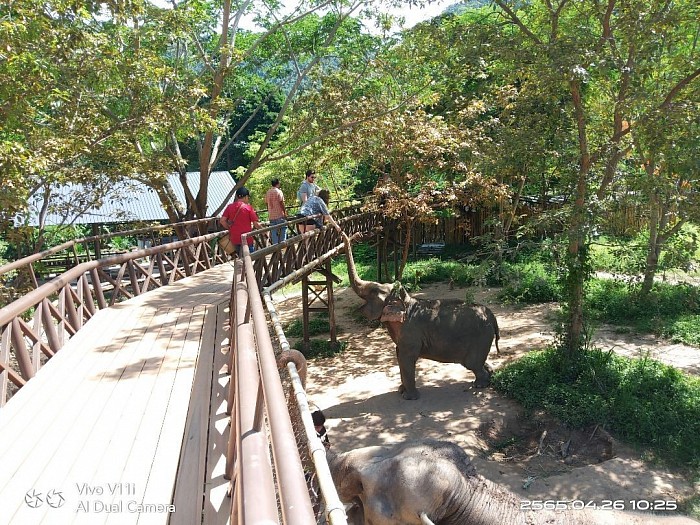 Samui elephant kingdom