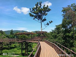 Samui elephant kingdom