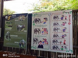 Samui elephant kingdom