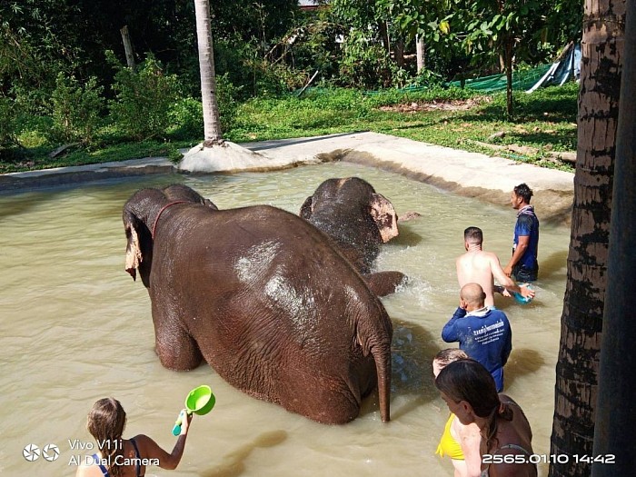 Elephant Jungle Sanctuary