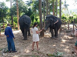 Elephant Jungle Sanctuary